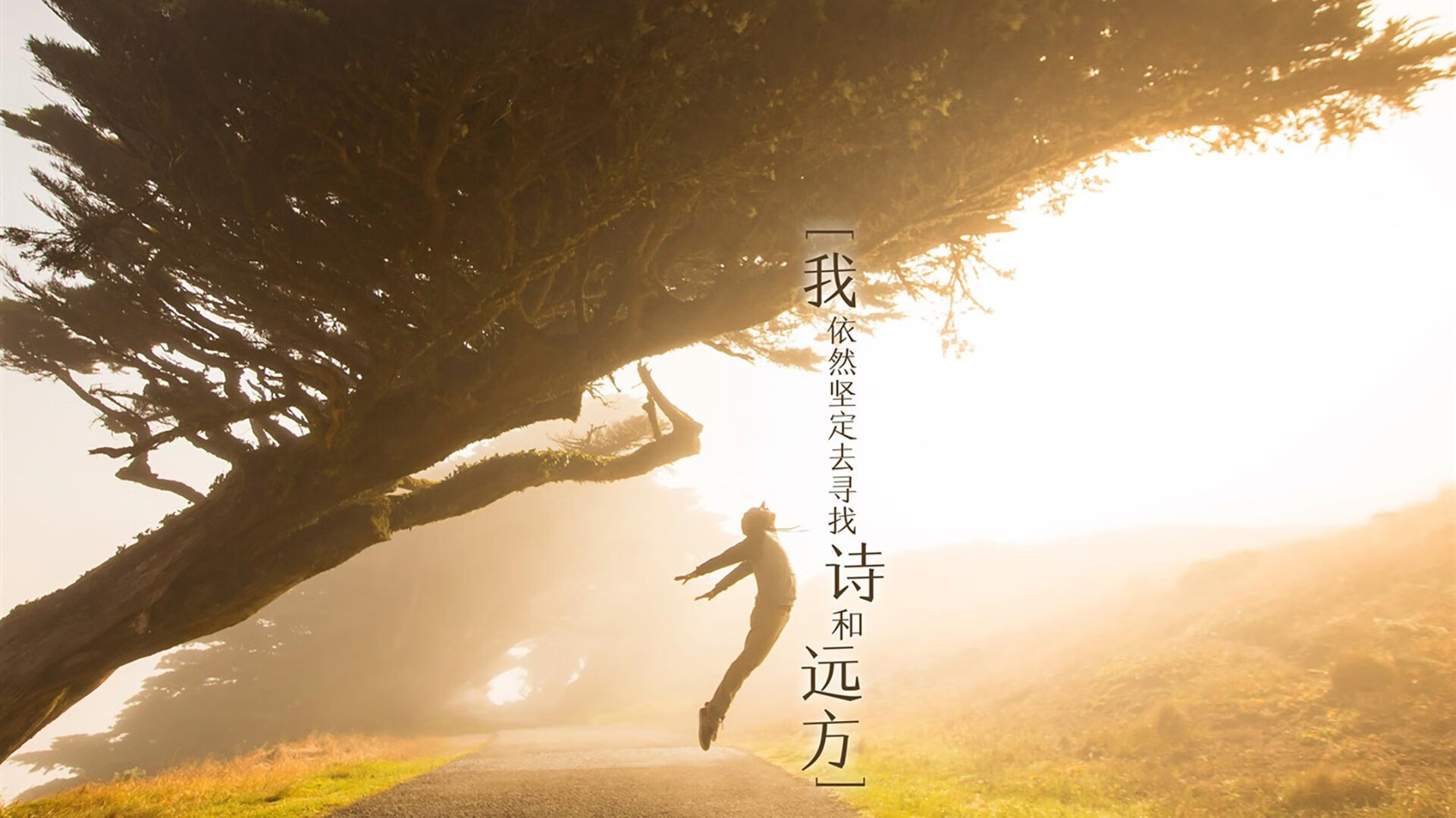 华体会登陆-未来世俱杯主办城市：哪些地方值得期待？，2021世俱杯承办城市揭晓