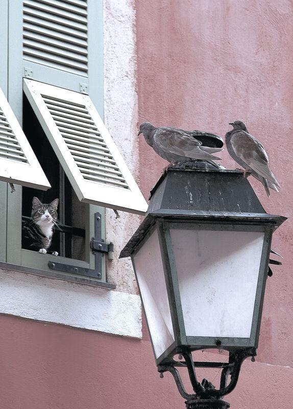 华体会-“简阳文体中心:羽毛球赛场上演世界级选手的快速激战” 第2张 华体会-“简阳文体中心:羽毛球赛场上演世界级选手的快速激战” 第2张