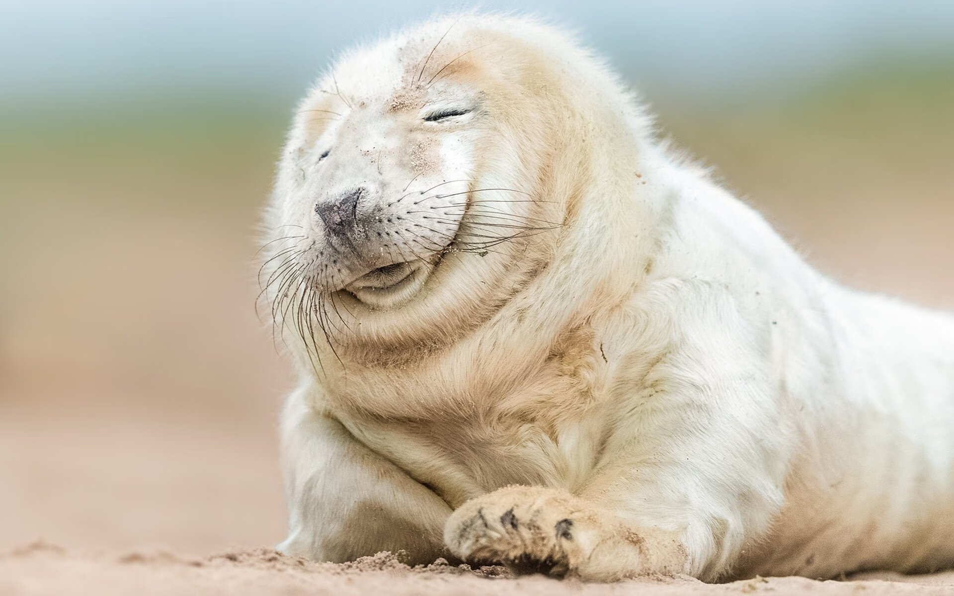 华体会app-中国乒乓球战术深度解析,迎接新挑战,中国乒乓球技巧 第4张 华体会app-中国乒乓球战术深度解析,迎接新挑战,中国乒乓球技巧 第4张