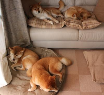 华体会app登入-五大联赛是否将球员切线意识列入基础战术素养评估，五大联赛球员进球排名