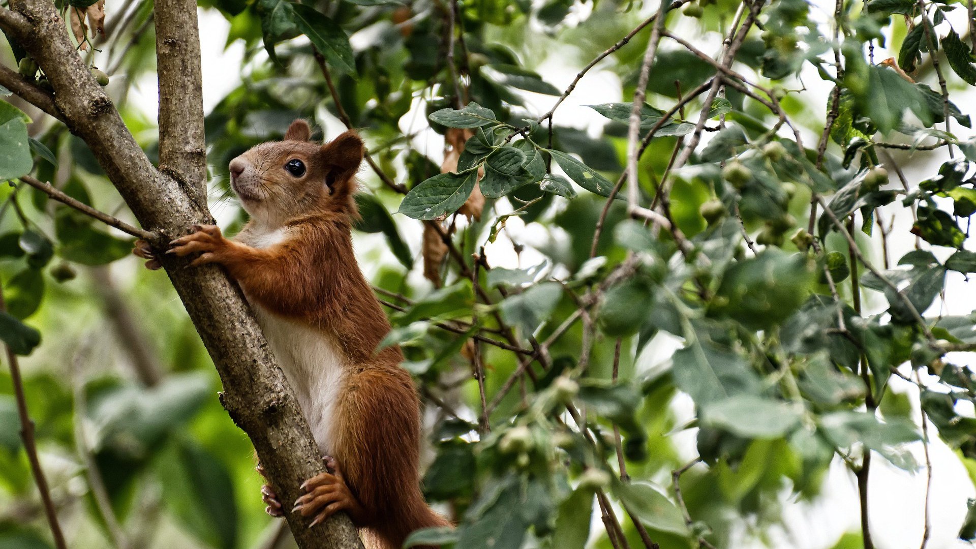 华体会在线下载-训练记录可视化趋势提升教练决策效率，训练记录可视化趋势提升教练决策效率的措施
