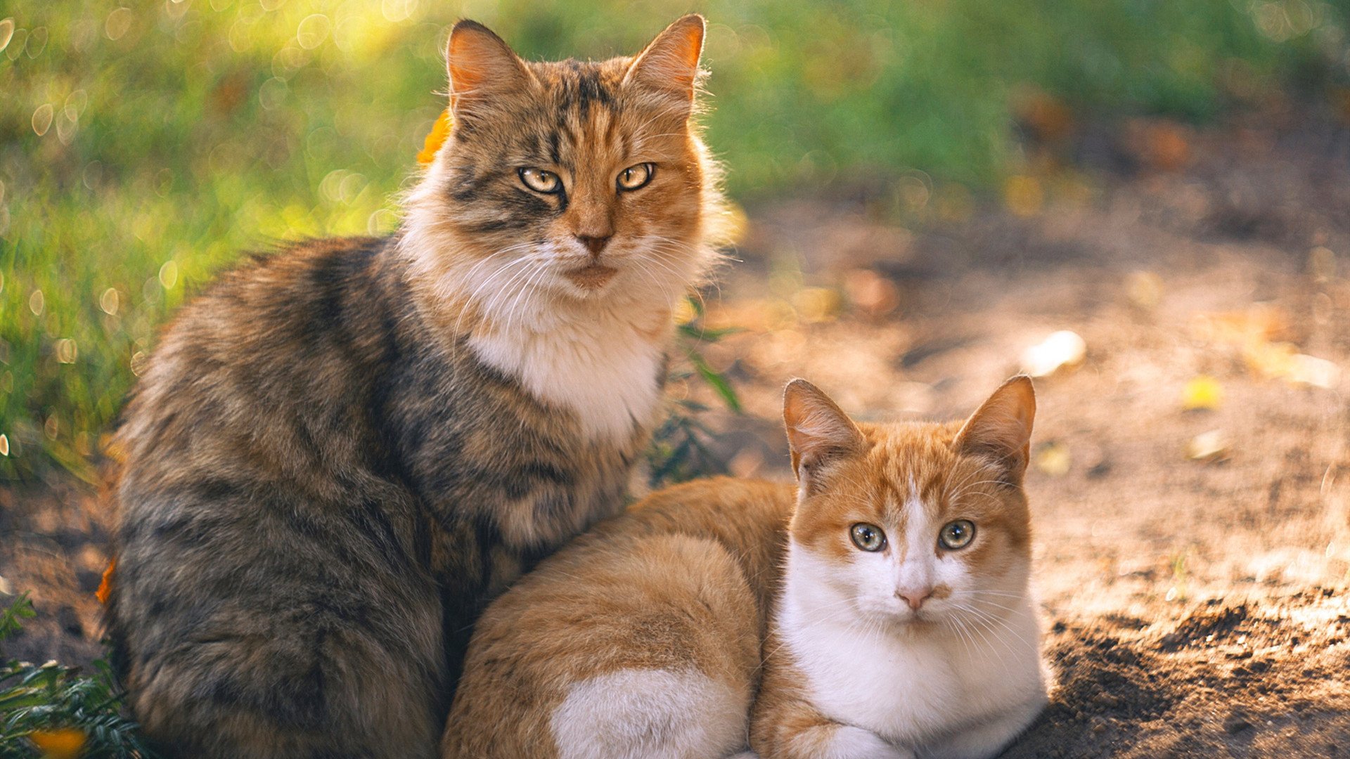 华体会app登入-防守端容易漏人球队盘点，防守型选手