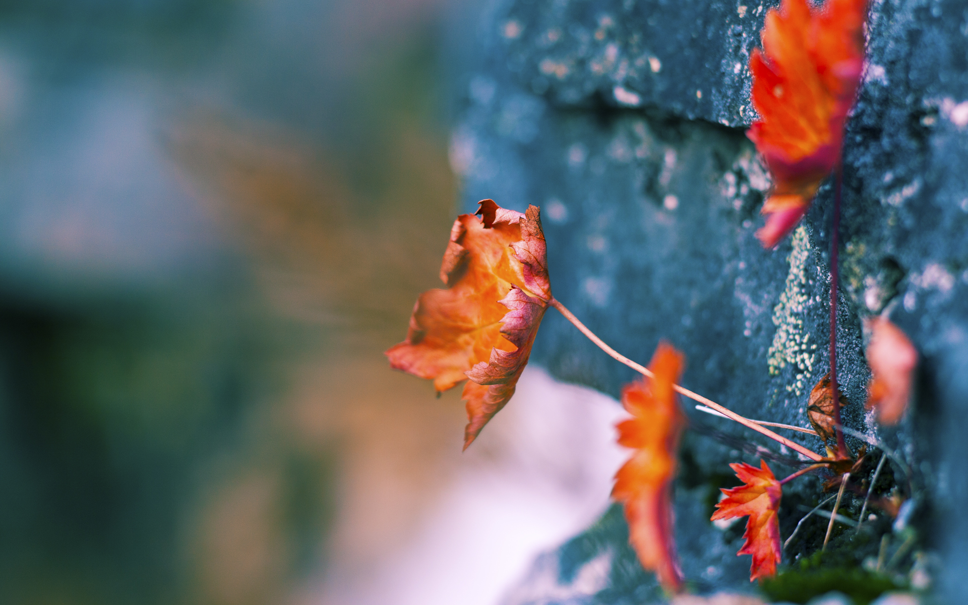 华体会手机在线-伊朗男篮在亚洲预赛中拼搏,为奥运梦想奋勇直前,伊朗男篮落选赛