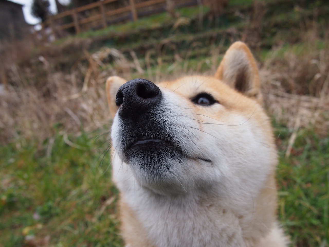 华体会app-巴西青训持续投入,足球天才不断涌出