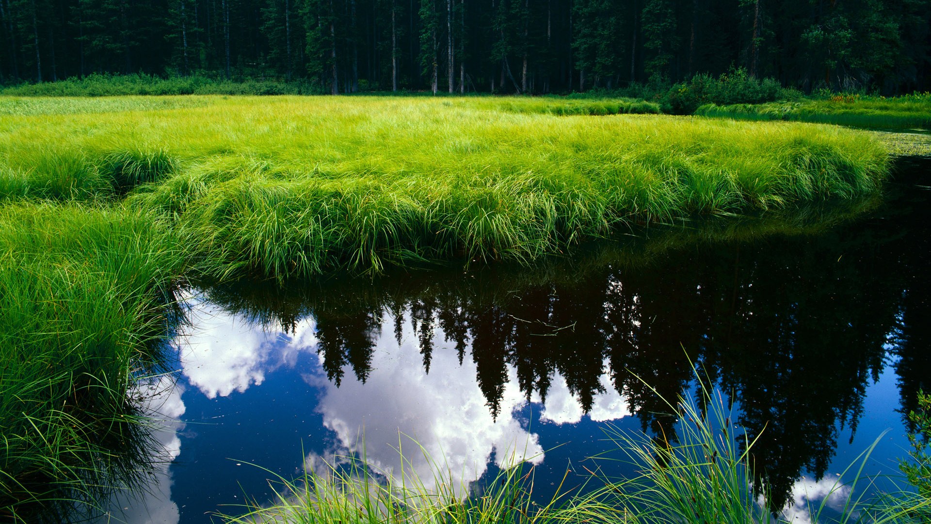 华体会在线登录-澳大利亚队赛场表现引爆现场气氛,澳大利亚队的比赛