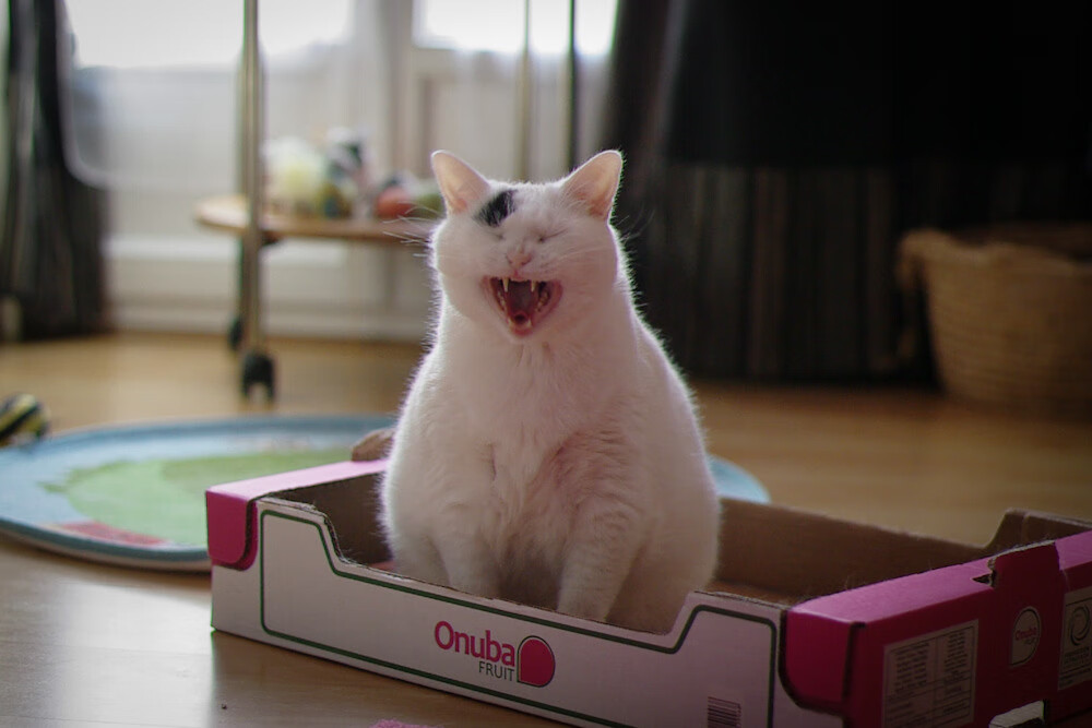 华体会在线下载-米兰双雄各显神通,争夺意甲冠军