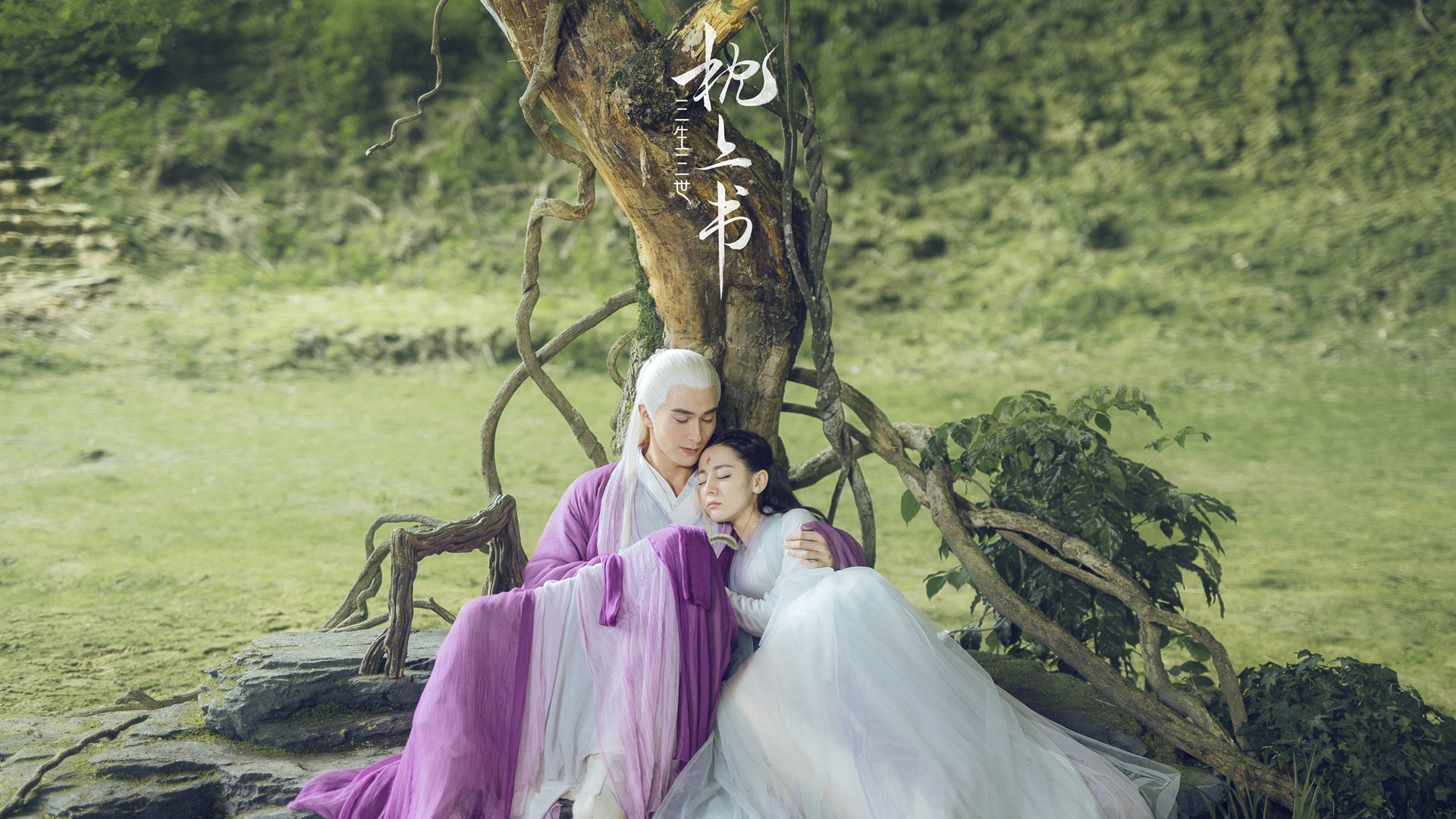 华体会-美洲杯激情夜！明星拼搏，奇迹不断！，美洲杯现场