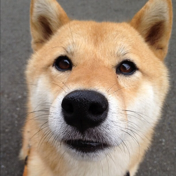 华体会app安装-西甲精彩绝伦:高手对决,火花四溅!,西甲经典比赛