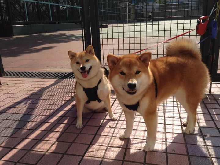 华体会官方网站-青训项目扩展至北部地区,青训项目扩展至北部地区的措施