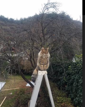 华体会app下载-2024巴黎奥运场馆展现巴黎魅力与活力,2024巴黎奥运会有什么项目