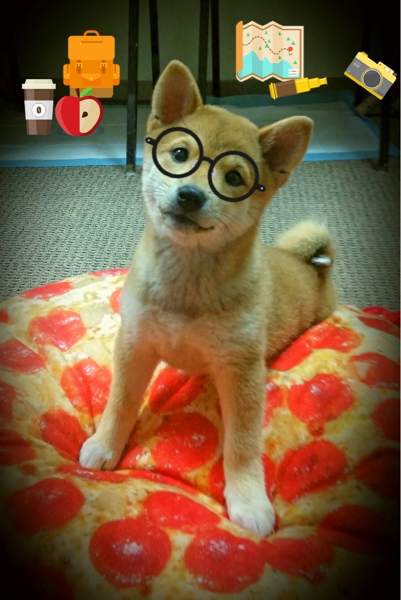 华体会登录地址-CBA是否推动俱乐部与企业共建篮球创新实验室，cba篮球俱乐部靠什么赚钱