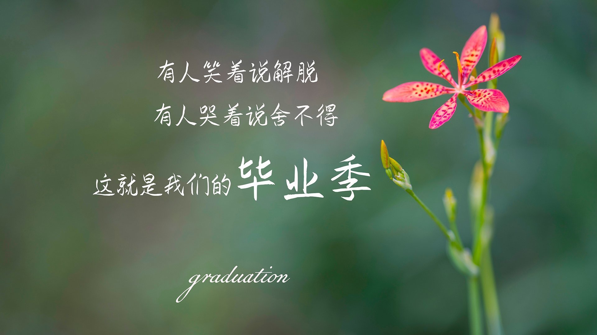 华体会app-中国足球俱乐部注重训练前后数据反馈系统联动，中国足球队训练